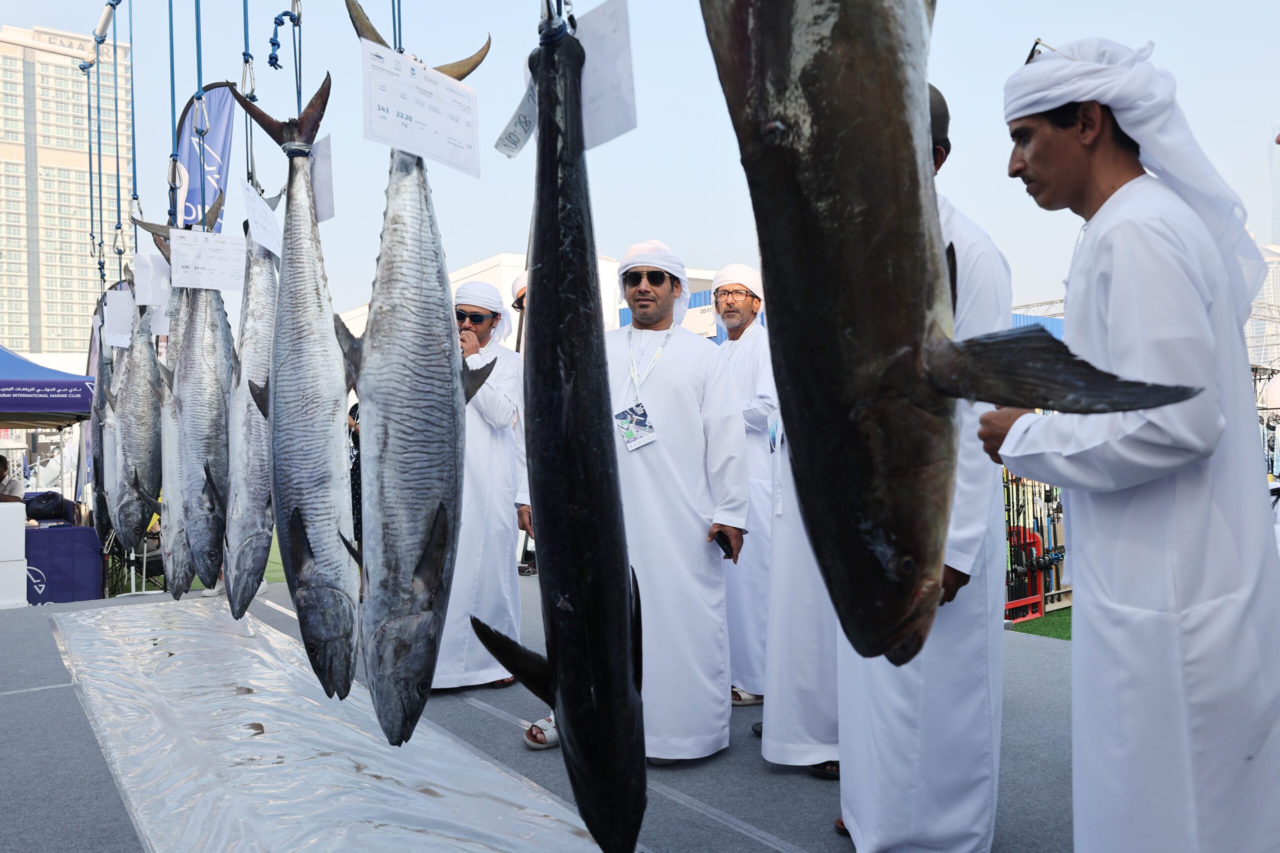 UAE Fishing Championship