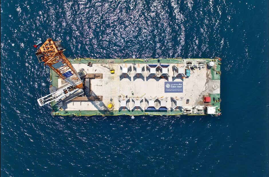 New DUBAI REEF Footage Reveals Thriving Marine Life and Ecosystem Growth in Dubai&rsquo;s Waters